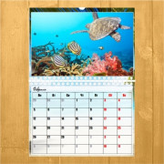 Перекидной А4 гор. 2-х сторонний