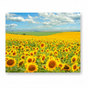 Магнит виниловый 20X25