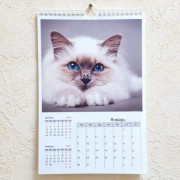 32Х45 13 стр.  Фото-Эконом