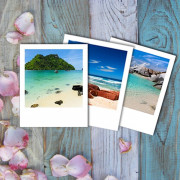 Polaroid 90х110(127)-8 шт.